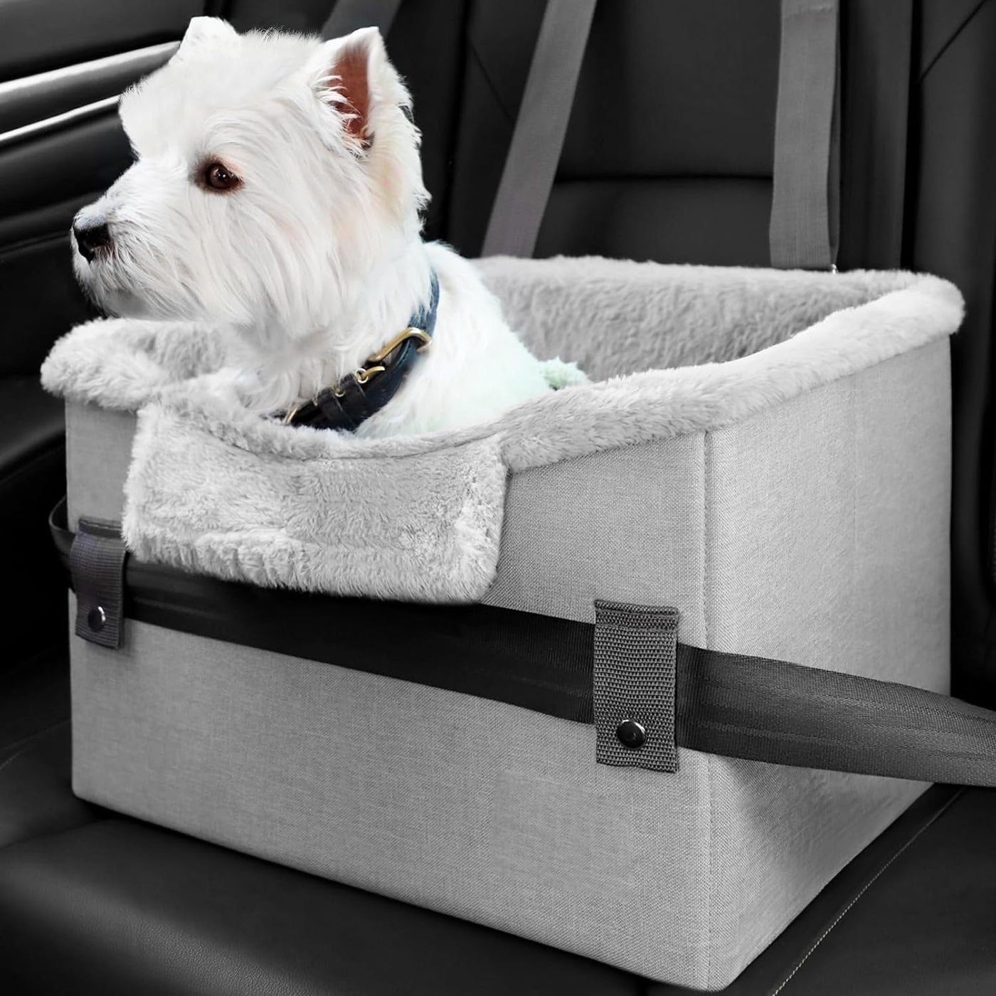 Luxury Portable Dog Car Booster Seat – Safe, Snug & Designed for Small Pets